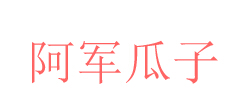 阿军瓜子