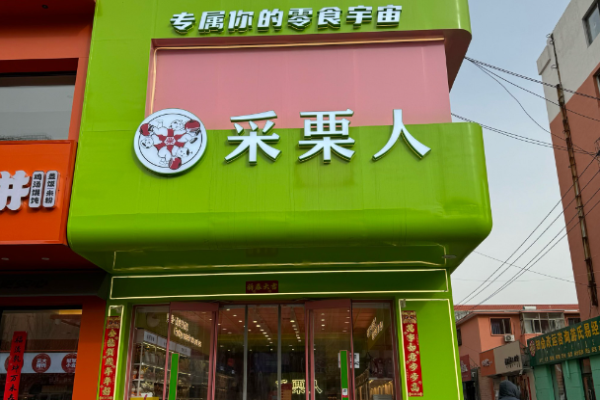 采栗人板栗