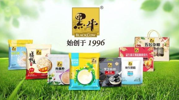 大地黑牛休闲食品