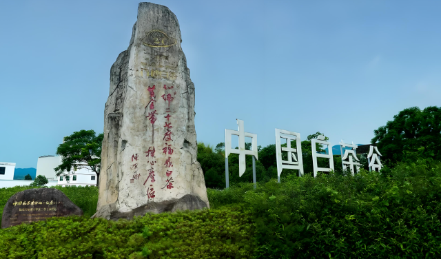 六妙白茶