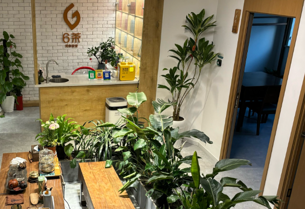 6茶共享茶室