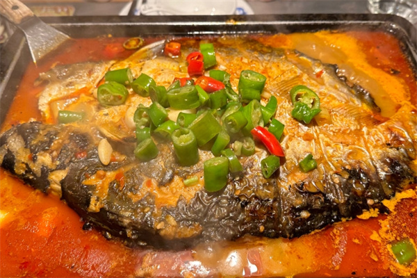 星球鲈鱼