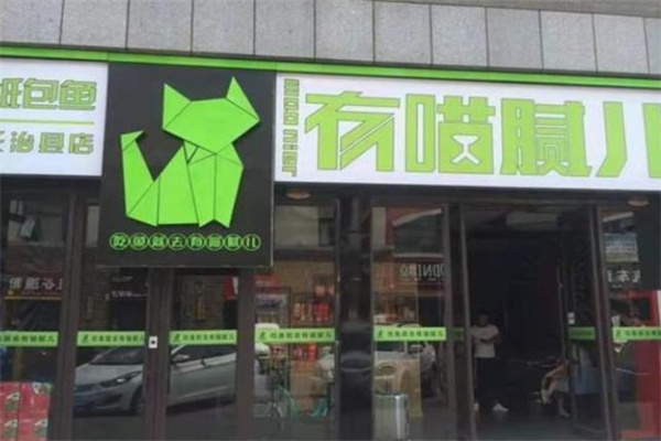 有猫腻儿纸上烤鱼
