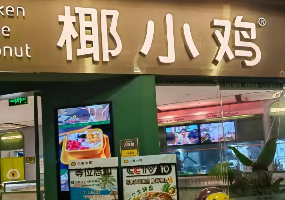 椰小鸡