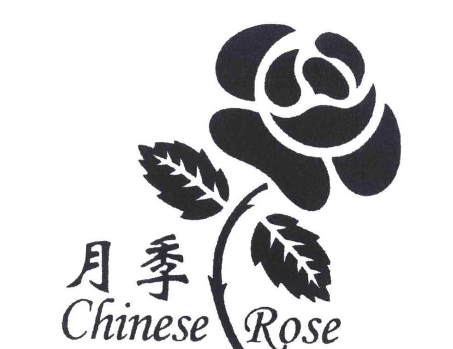 月季串串