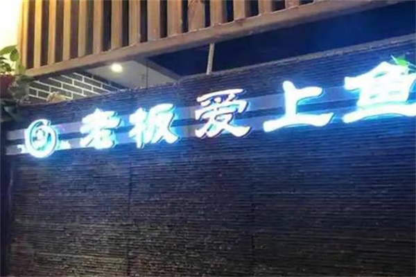 老板爱上鱼