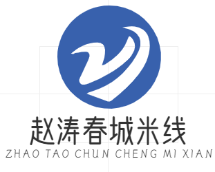 赵涛春城米线
