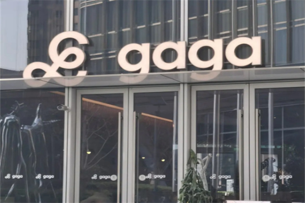 gaga轻食