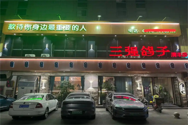 三强鸽子
