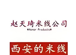 赵天琦米线