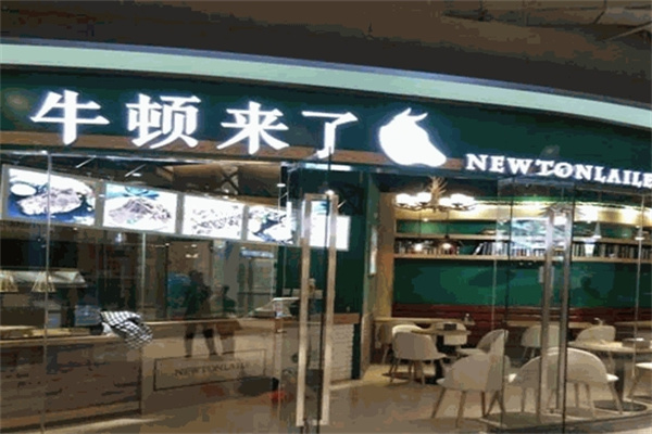 牛顿来了牛腩煲饭