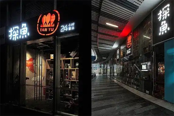 探鱼炭火烤鱼