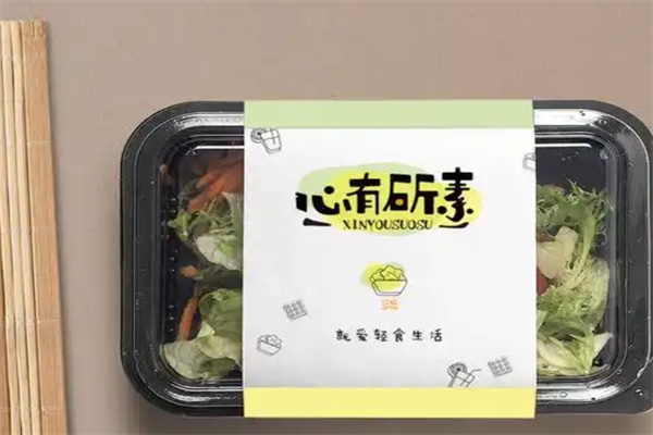 心有所素轻食