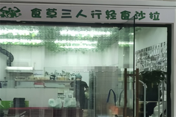 食草三人行轻食沙拉
