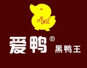 爱鸭黑鸭王