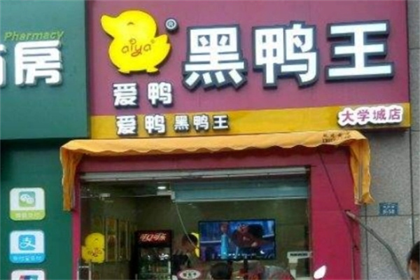 爱鸭黑鸭王
