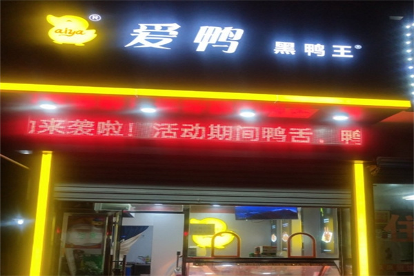 爱鸭黑鸭王