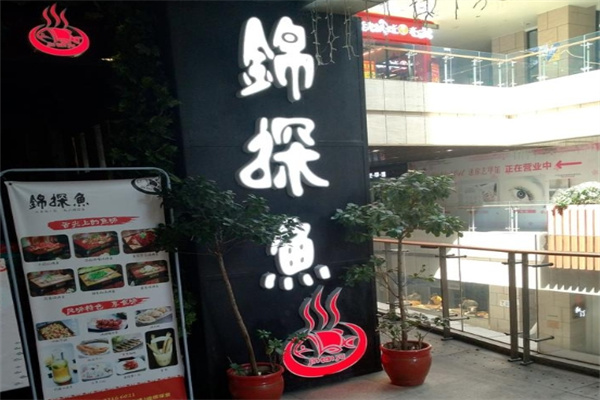锦探鱼