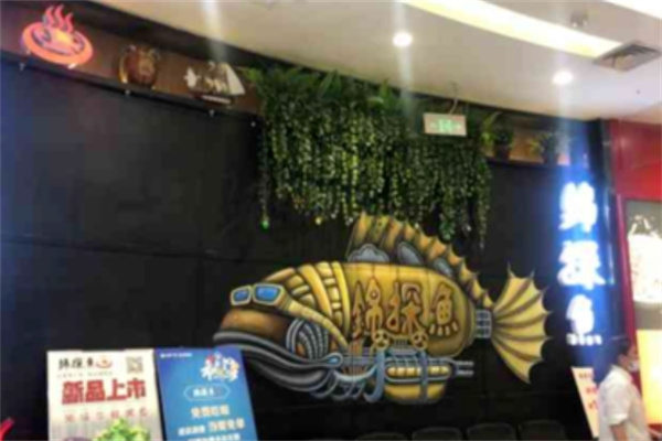 锦探鱼