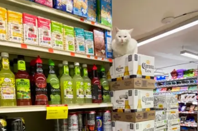 优百客便利店
