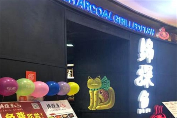 锦探鱼