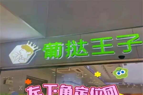 葡挞王子