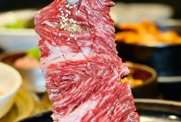 千纸鹤嫩汁烤肉