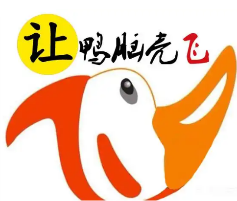 让鸭脑壳飞