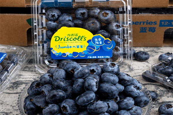 Driscoll's 怡颗莓