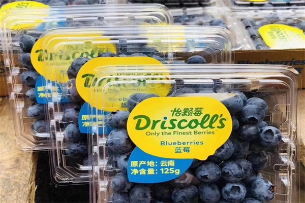Driscoll's 怡颗莓