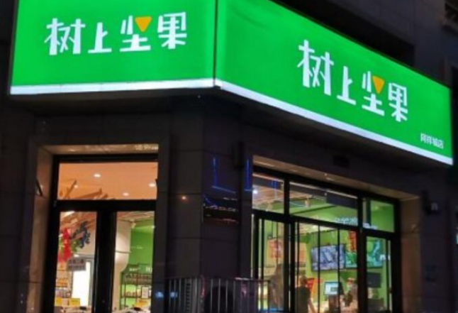 树上坚果加盟赚钱吗？市场火爆，赚钱机会多