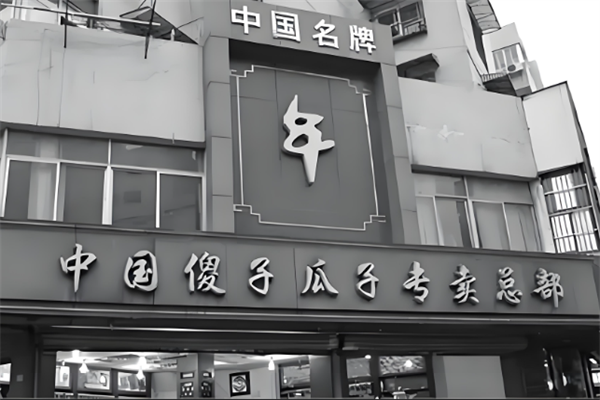傻子瓜子