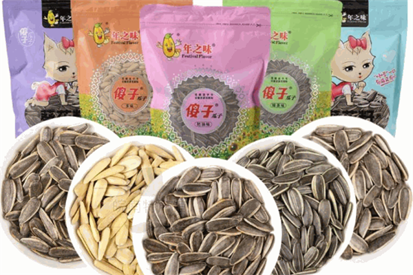 傻子瓜子