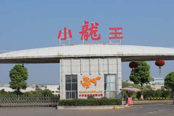 小龙王槟榔