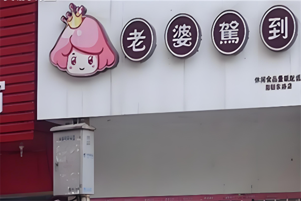 老婆驾到