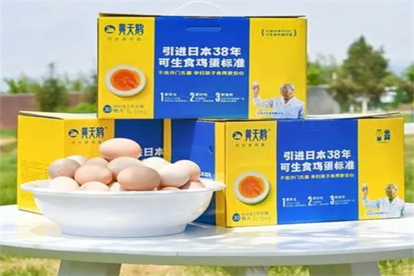 黄天鹅鸡蛋