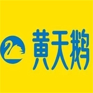 黄天鹅鸡蛋