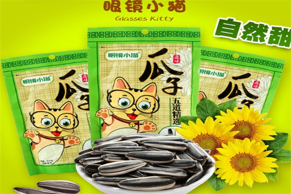 眼镜小猫瓜子