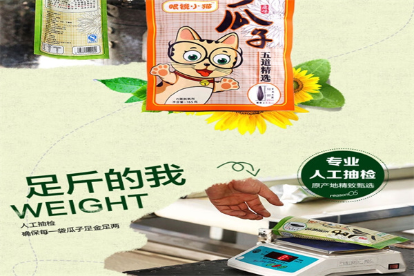眼镜小猫瓜子