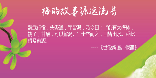 梅故事加盟能成功吗？市场潜力大，轻松实现创业梦想