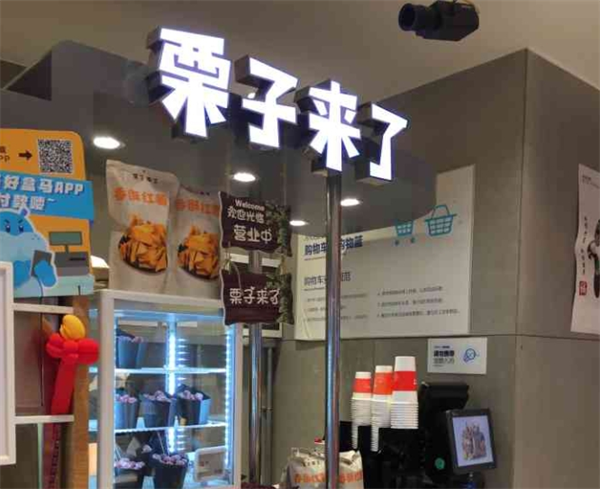 栗子来了