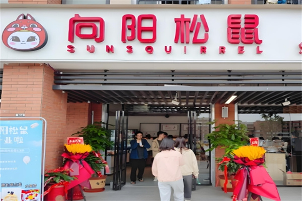 向阳松鼠