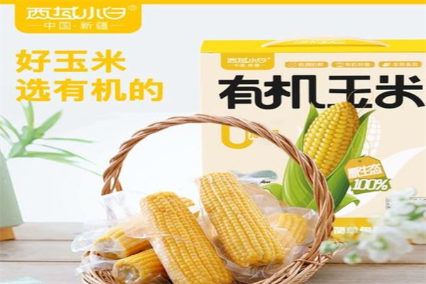 西域小白