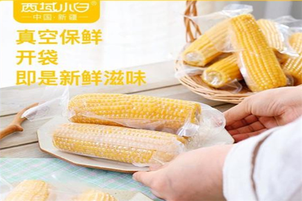 西域小白