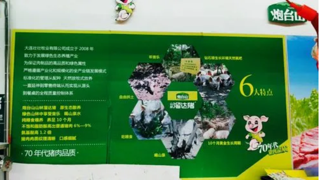 炮台山山林溜达猪