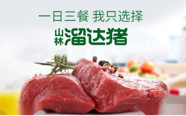 炮台山山林溜达猪