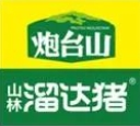 炮台山山林溜达猪