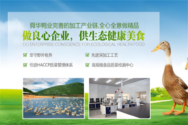 舜华鸭业