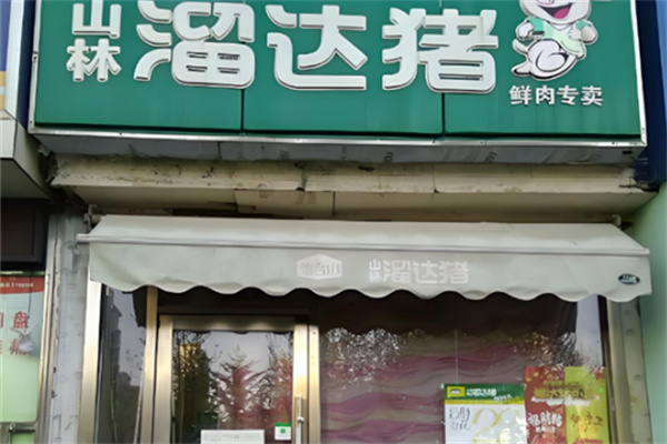 山林溜达猪