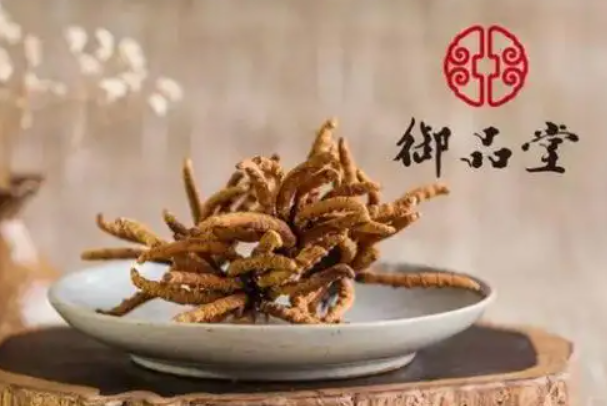 御品堂海参